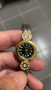 Vavis VAVIS36GW Luxury Ladies Wristwatch (Gold)