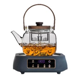 SANXUN | Heat Resistant Glass Tea Kettle & Electric Ceramic Heater for Home Use