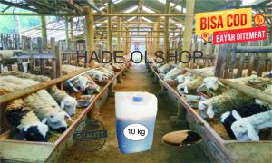 MOLASE TETES TEBU ASLI TANPA CAMPURAN 10 KG GARANSI 100 % MURNI