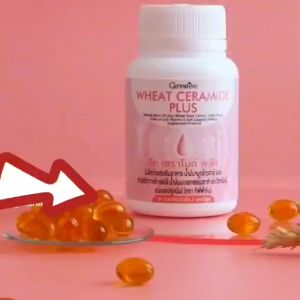 ส่งฟรี  Wheat Ceramide Plus วีท เซราไมด์ พลัส กิฟฟารีน เซราไมด์สกัดเข้มข้นจากข้าวสาลี 100% ในรูปแบบน้ำมัน