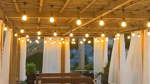 HOMEBLOOM-LED Outdoor String Lights with Edison Vintage Shatterproof Bulbs and Commercial Grade Weatherproof Strand Decorative Lights for Patio Garden 10M/20M/30M