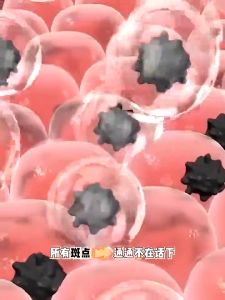 FUYAN SPOT WHITENING CREAM 20gr: Solusi Flek Hitam & Perawatan Kulit