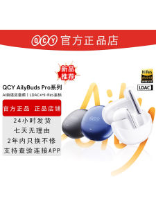QCY AilyBuds pro Series Wireless Bluetooth Earphones Sports New Model Half-In-Ear Active Noise Reduction Small Q Beans