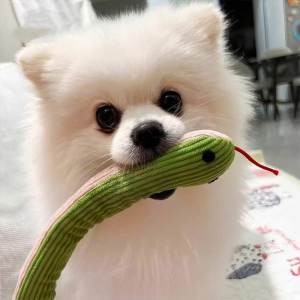 Lovinland Pet Shaking Snake Pet Toy Durable Squeaky Play Toy for Small to Medium Dogs & Cats Interactive Toy Dog Sounding Paper Toy