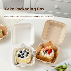MEIDI | Disposable Degradable Food Container