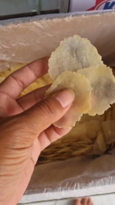 EMPING MELINJO MENTAH SUPER KERING LEBAR (LB) 1KG || SUPER QUALITY FULL KERING