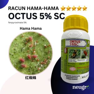 ACM ORTUS 5% SC (250ml) Racun Hama Hama Durian Cili Terung Betik Fenpyroximate 5% Mite Acaricide Durian Brinjal Chili Papaya 杀螨剂 红蜘蛛 榴莲 辣椒 茄子