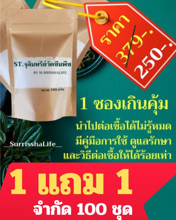 St.จุลินทรีย์วัคซีนพืช surrisshalife ป้องกันโรคเน่า เสริมสุขภาพพืช