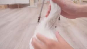 GROOM DEGREASER BERSIHKAN BULU KOTOR BERMINYAK STAIN MATA PADA KUCING ANJING