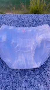 C83 Set 10 quần lót nữ cotton tăm xương nhiều màu xinh xắn kháng khuẩn đính nơ dễ thương mềm mịn co giãn cute