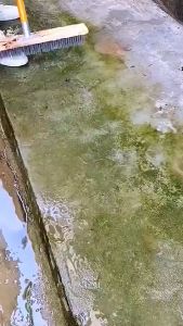 Stainless Steel Wire Floor Brush with Extended Handle - Stiff Bristles for Hard-to-Clean Surfaces in Garage, Patio, Garden, and Pool - Moss-Buster TB06