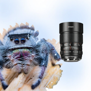 7Artisans | 60mm F2.8 Full Frame Macro Lens 2x Magnification