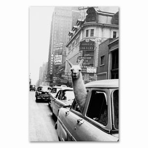 Llama in a taxi on Times Square Canvas Print and  Vintage llama Print New York City Photo Picture Wall Art Home Decor