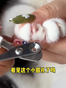 Kéo Cắt Móng Cho Thú Cưng 2 Lỗ Tròn Bảo Vệ Tuỷ Thú Cưng Chó Mèo - iPet Shop