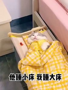 Cat Window Perch Wooden Assembly Hanging Bed Cotton Canvas Easy Washable Multi-Ply Plywood Hammock