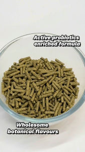 [24HR SHIP] CARINO PETS CHINCHILLA & SUGAR GLIDER & HEDGEHOG PELLET FOOD 龙猫 蜜袋鼬 刺猬 饲料 Premium Makanan Pellet