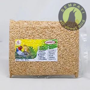 SEMPATI Pakan Burung Kenari Lovebird Blackthroat Biji Haver Kupas 1kg PBHV1GK