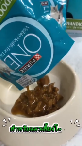 (ยกโหล) เพียวริน่า วัน อาหารแมวเปียก Purina One เนื้อเกรวี่ พัฒนาสูตรโดยสัตว์แพทย์ (ขนาด 70g x12)