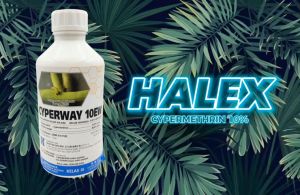 Cypermethrin 10% Cypergard Cyperway 10EW 1L insecticide pesticide control aphids beetles caterpillars whiteflies mites leafhoppers thrips borers weevils grasshoppers crops