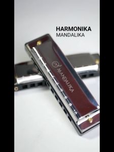 Harmonika Nada C 10 Lubang Harmonica Ten Holes