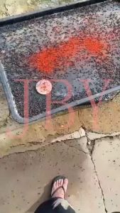 BABEDUO 25 Packs of Non-Toxic Fly Killer Powder: Safe & Effective