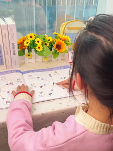 【全新现货】思维导图 象形识字 汉字速记1600 趣味学汉字 轻松上小学 幼小衔接 小学一二年级启蒙认字看图趣味 Pictographic Literacy Chinese Character Book