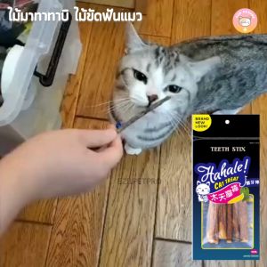 ไม้มาทาทาบิญี่ปูน กัญชาแมว ไม้ขัดฟันแมว 5 แท่ง สร้างความสะอาดฟัน ลดคราบหิน ปลอดภัย วัสดุธรรมชาติ B012