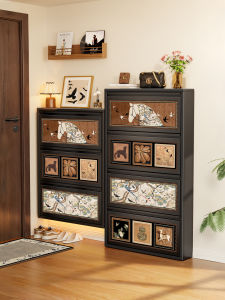 CTYLIGHTZ | Ultra-thin Narrow Shoe Cabinet Steel