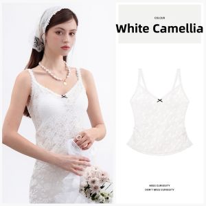 Miss Curiosity | Lace French Style Spring Bra Inner and Outer Wear