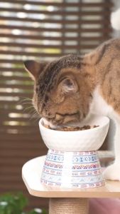 Thức Ăn Cho Mèo Bite Of Wild Gói 1kg Mix Topping Thịt Sấy 42% Protein Cho Mèo Mọi Lứa Tuổi