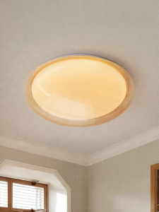 FANCY LAMP CLUB | Eye-Protective Round Full-Spectrum Ceiling Light