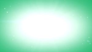 LEM EPOXY AVIAN 2 KOMPONEN HARDENER+RESIN 1.6kg