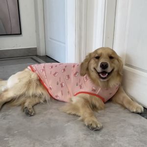 เสื้อกั๊กตาข่ายระบายอากาศบางสำหรับฤดูร้อนสำหรับสุนัขขนาดใหญ่ สวมใส่สบาย ระบายอากาศได้ดี สำหรับสุนัขพันธุ์ Husky Labrador Retriever