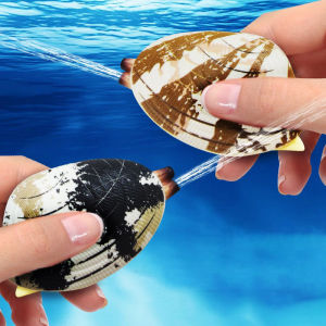 Water-Spraying Clam Toys Tricky Water-Absorbing Marine Shellfish Mini Water Creative Small Gifts for Children April Fool