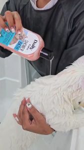 ชุดแชมพูแมว พร้อมบำรุงขนนุ่ม สลวย กำจัดเห็บ หมัด กลิ่นหอมสบาย Daily Care Shower bath เดลี่ แคร์ ชาวเวอร์ บาธ, ขนาด 330ml