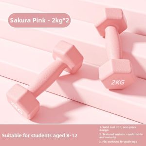 Womens Home Use Cast Iron Dumbbells