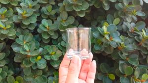 2.1oz/60ml Classic Shot Glass/Cocktail Glass/Bar Glass/Dessert Glass (2pcs & 6pcs)