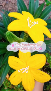 【100PCS】Macaron Fuzzy Wire Handmade DIY Handmade Flower Packaging Materials Valentines Day Gift