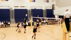 Volleyball Net With Cable / Net Volleyball Original Net Bola Tampar / Jaring Bola Tampar 排球网