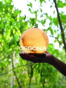 OsgonA | Creative Gift Desk Ornament