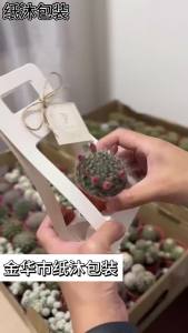 WHPHous | 10pcs Double Sided Water Proof Kraft Paper Portable Flower Basket Bouquet Handle Carton Bouquet Holiday Gift Wrapping Box