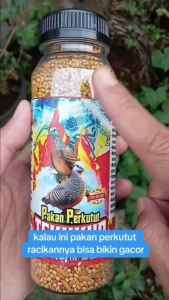 Pakan Perkutut Tekukur Diproses Secara Higienis dan Steril Makanan burung