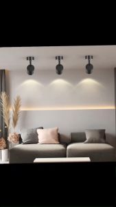 LED Surface Mounted Ceiling Lamp & Showcase Downlight