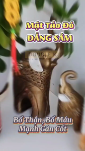 Mật Táo Đẳng Sâm Tâm An 250ML - Dory-jp