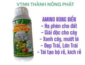 Phân bón vi lượng AMINO RONG BIỂN chai 500 ml. Mát cây Mập đọt Xanh lá Tốt trái Hạ Phèn Kích rễ Giải độc cho cây