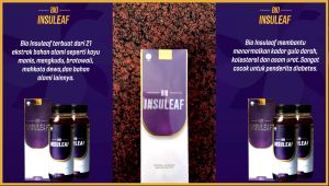 BIO INSULEAF Original 100% Herbal Alami: Solusi Tepat Atasi Diabetes & Kolesterol Kecing Manis
