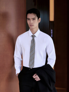 Wrinkle-free Mens Business Shirt
