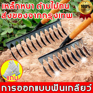 ❤ 30 ปี ในช่วงเวลา ฟันเกลียว เหล็กหนัง หนัง หญ้า หญ้า หญ้า หนัง 10 ฟัน คราด คราด คราด คราด