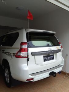 Car Roof Edge Decorative Antenna SUV Off-Road Vehicle Card Edge Modification Antenna Radio Flag Antenna Short Antenna