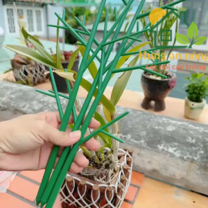 Combo 5 nhánh cây nhựa PP dẻo bền tạo dáng trang trí cố định hoa lan và cây kiểng